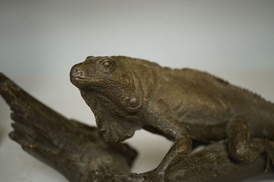 A bronze of an Iguana on a branch, 33cm long. Condition - good.